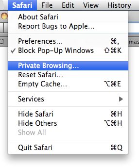 Browser Safari Private