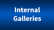 Internal Galleries Button