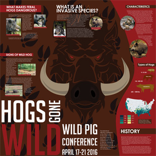 Hogs Gone Wild poster