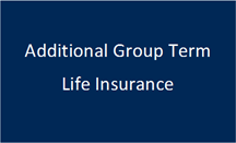Additional Group Term Life Insurance