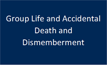 Group Life and Accidental Death and Dismemberment