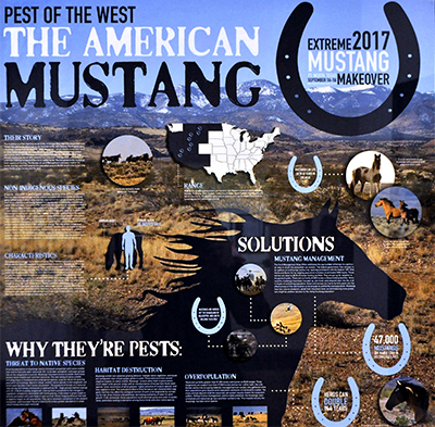 Poster about mustangs, contains various photos of wilderness, mustangs, and illustrations of horseshoes adn the united states