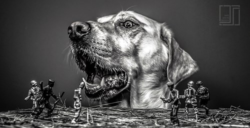 Dogzilla, a digital photograph by Jacob Smith