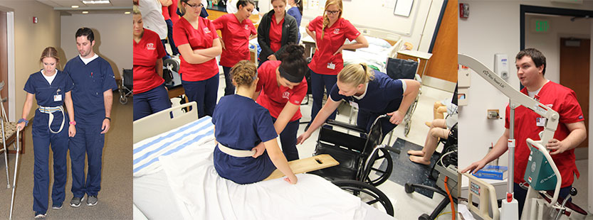 photos showing Nursing and OT students involved with IPE