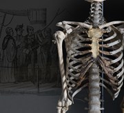 Skeleton bones with sketch of John Harvey being hung in the background