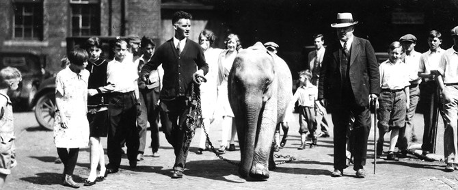 Two men walking the elephant Kay on a chain leash surrounded by a group of kids