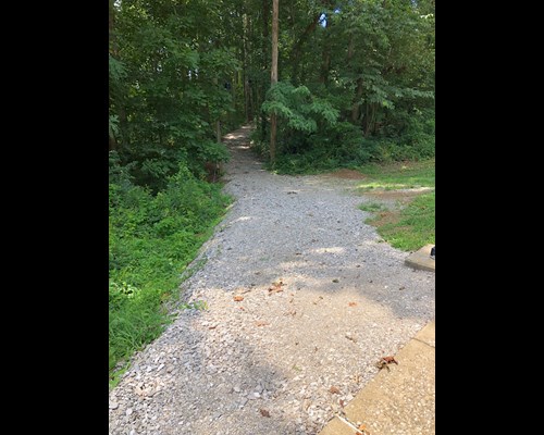 Image of Trail to Campus