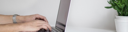 Close-up of hands typing on a laptop, with plant in background