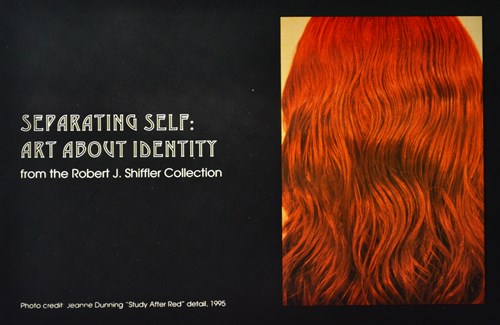 Serarating Self: Art about identity from the robert j. shiffler collection