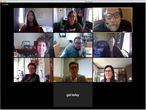 Virtual Minka Advisory Board meeting
