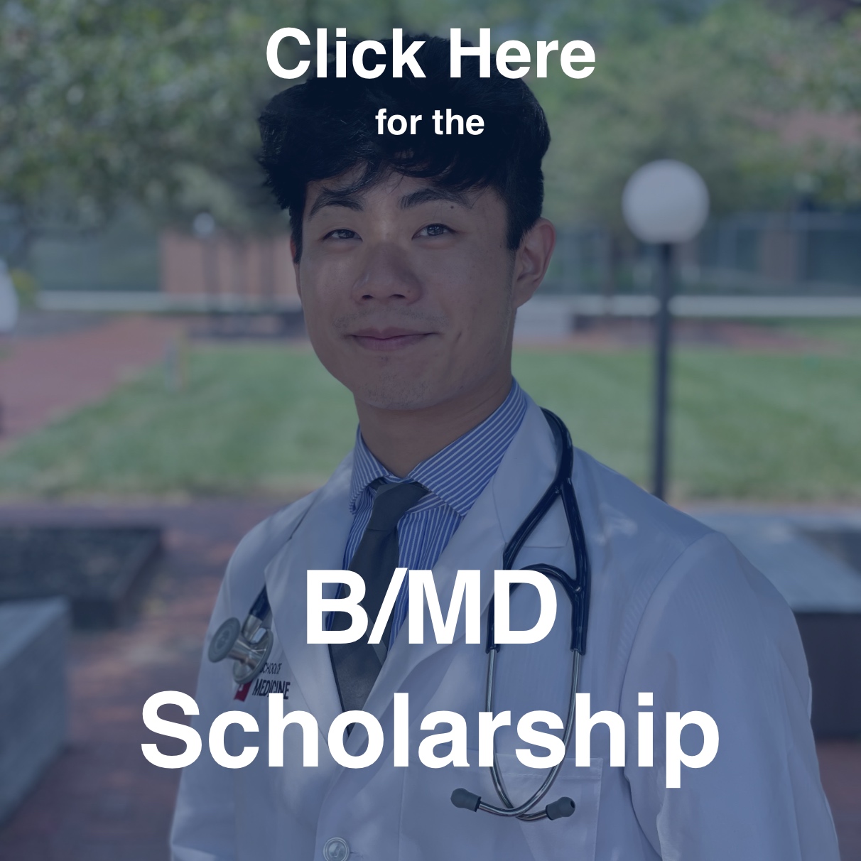 BMD Scholarship