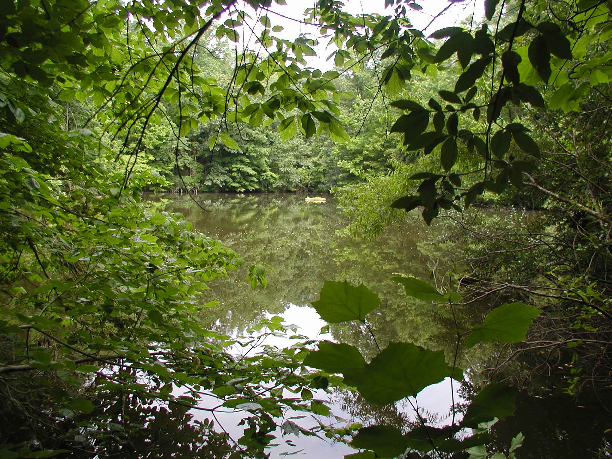 Large lake and surrounding trees in the USI Nature Preserve