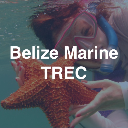 Belize Marine TERC Field Station