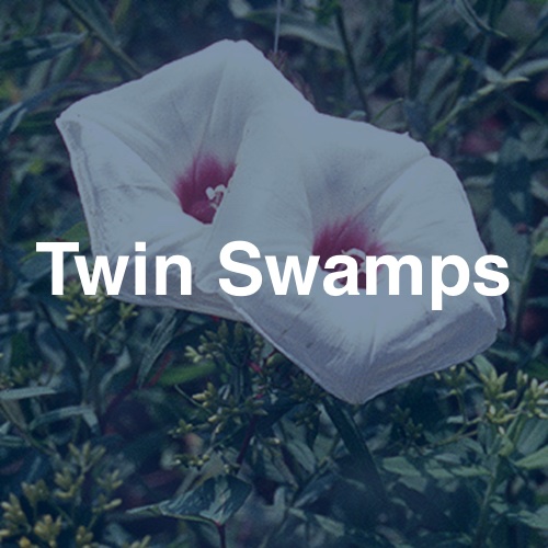 Twin Swamps
