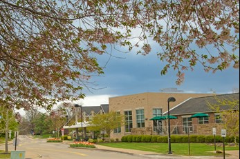 tree in foreground, Community Center in background